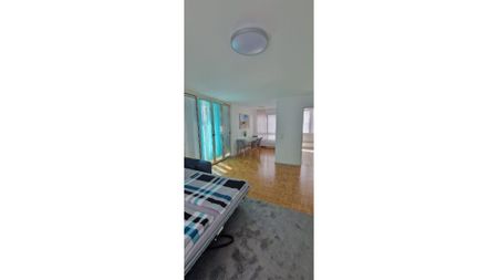 2½ Zimmer-Wohnung in Langwiesen (ZH), möbliert, auf Zeit - Photo 2