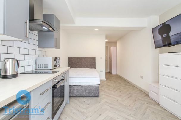 1 bed Studio for Rent - Photo 1