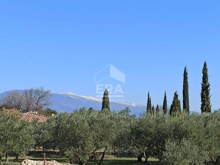 Maison neuve Modène, 2 chambre, terrain 581m² - Photo 4