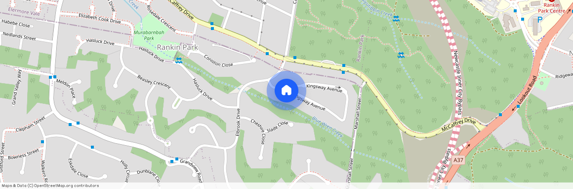 83 Kingsway Avenue, NSW 2287, Rankin Park