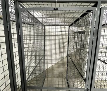 For Lease - 1 Kyle Lowry Road Unit# 323, Toronto, Ontario - Photo 6