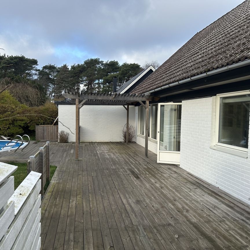 Rävavägen, Falsterbo - Foto 1