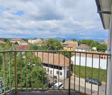Location Appartement 3 pièces 76m² MULHOUSE 68200 - Photo 3