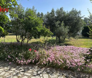 Διαμέρισμα για ενοικίαση Κέντρο (Νίκαια) - Photo 1