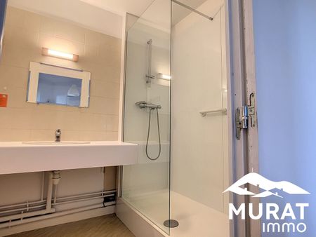 Location Appartement 1 pièce 32m² CHAMALIERES 63400 - Photo 5