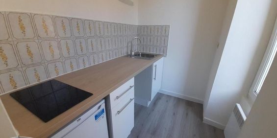 Location Appartement 1 pièce 22m² NANTES 44300 - Photo 3