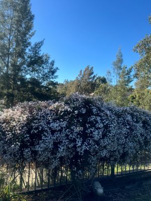 Cranebrook - Photo 1