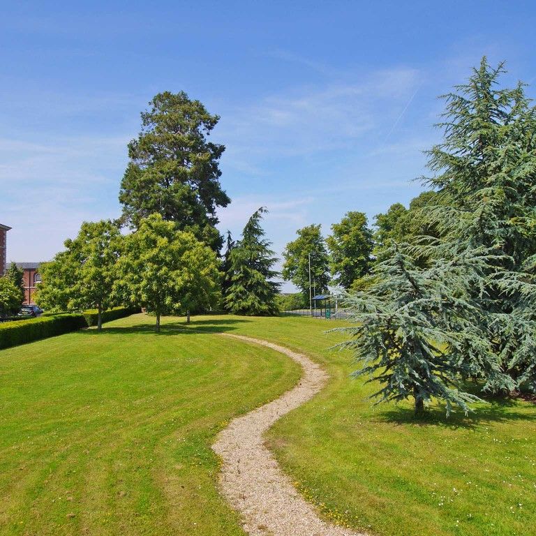 3 bedroom Spacious Ground Floor Apartment to rent - Photo 1
