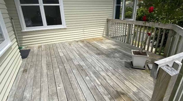 Cutie in Huia - Photo 1