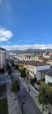 Alquiler de piso en Calle Antonio Maura - Foto 5