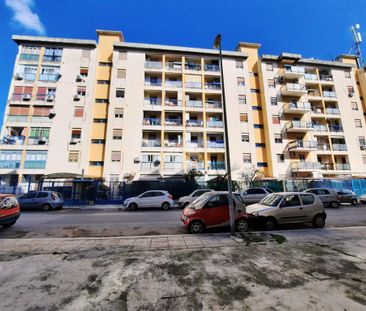 Quadrilocale in affitto - Photo 2