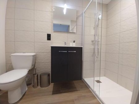 Location Appartement 1 Pièce 19 m² - Meublé - Photo 5