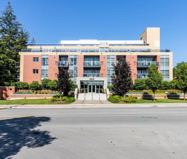 For Lease - 8302 Islington Avenue Unit# 211, Vaughan, Ontario - Photo 4