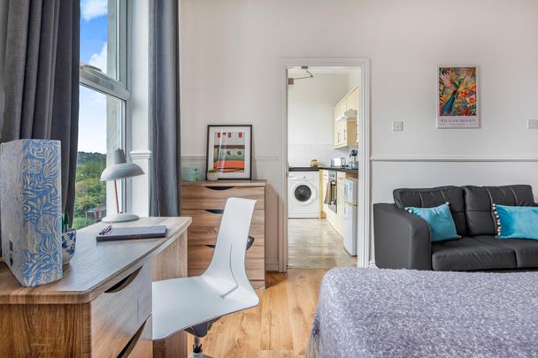 252 Vinery Road Leeds - LS4 2LA - Photo 1