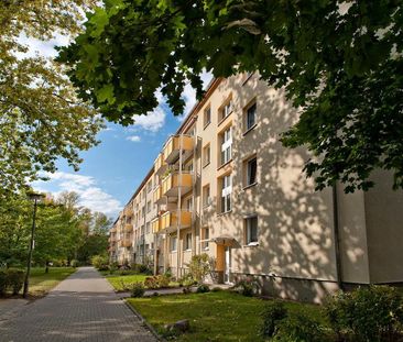 Wohnungen 3-ZimmerWhg 201 1.LI - Photo 1