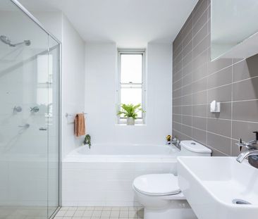 Sundrenched One Bedroom Apartment in Convenient Location - Photo 1