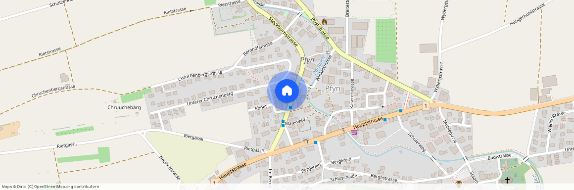 8505, Pfyn, Steckbornstrasse, 11