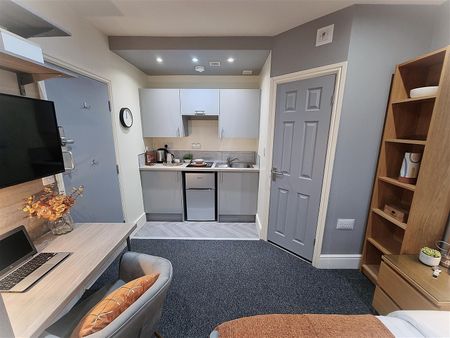 Rasen Lane - Studio for 21st Jan 2026 - Photo 3