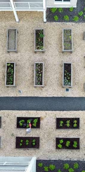 3 ½ à louer animaux autorisés! - Photo 1