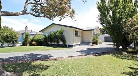 Sunny Family Home - Photo 4