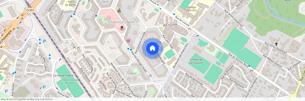 014 RUE PIERRE MOUGNE, 51100, Reims