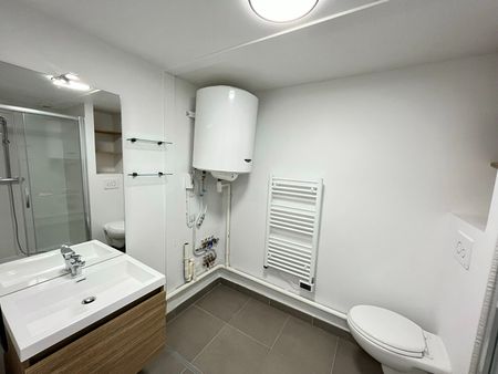 Location Appartement 1 pièce 25m² - Photo 3