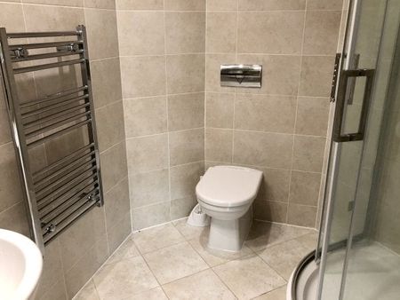 River Crescent, Nottingham, NG2 - Photo 4