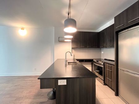 1414 Rue Chomedey Montréal (Ville-Marie), QC H3H - Photo 3