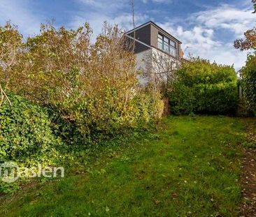 Canfield Road, Brighton, BN2 - Photo 3