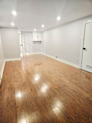 For Lease - 678 MOHAWK Road Unit# BASEMENT, Hamilton, Ontario - Photo 1