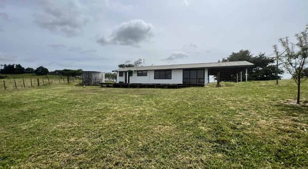 Rural Ngaruawahia, 3 bed 1 bath on large private section. - Photo 1