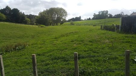 DRURY - Rural Oasis - 5 Acres - NO LETTING FEE - Photo 2