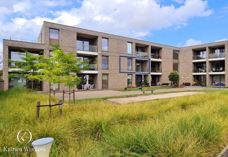 Erkend assistentie-appartement met terras in hartje Wellen - Photo 5