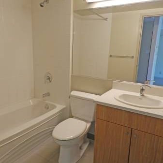 Newly Renovated 1 Bedroom at Pineview Place - Photo 4