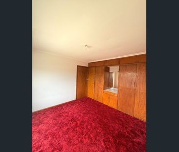 Relaxed Living Close to the Gardens and CBD - Photo 3