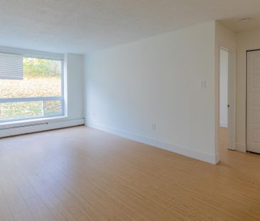 Princess Place - Photo 6