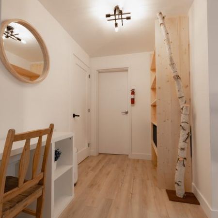 3 1/2 Neuf, meublé et tout inclus, secteur de l'aéroport - Photo 3