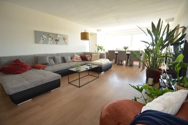 Ruim appartement met 3 slaapkamers te huur centrum Waregem - Photo 1