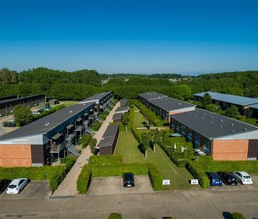 Dejlig lejlighed i grønne omgivelser - Photo 1