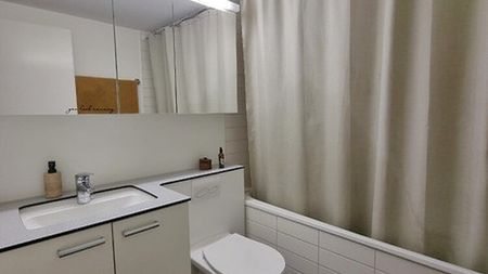 2½ Zimmer-Wohnung in Zürich - Kreis 3 Binz, möbliert, auf Zeit - Photo 2