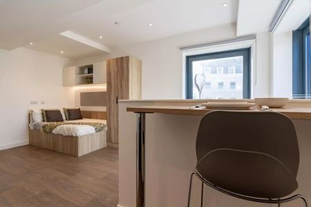 Deluxe Studio - Photo 3