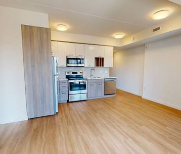 2 Bedroom Apartment - Walnut Place - Hamilton - Photo 3