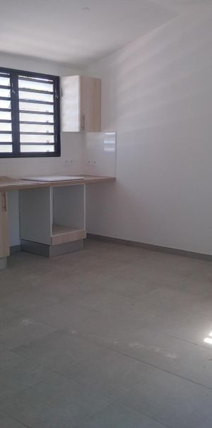 Location Appartement 1 pièce 29m² ST PIERRE 97410 - Photo 1