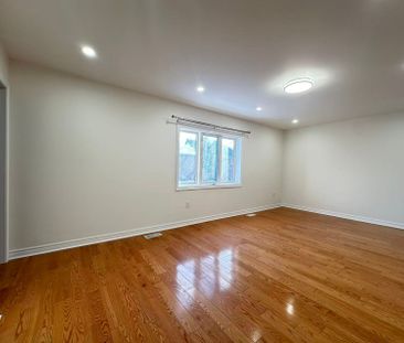 For Lease - 29 Libra Avenue, Richmond Hill, Ontario - Photo 2