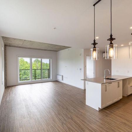 6 1/2 + en COIN - Bureau - Lévis centre-ville - Photo 3