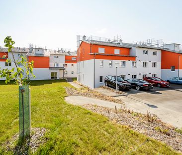 Wohnung in Sierndorf - Foto 3