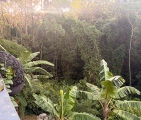 Verrierdale - Photo 4