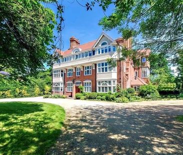 Lower Edgeborough Road, Guildford, Surrey, GU1 - Photo 5