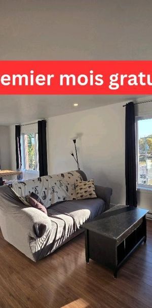 (Premier mois payé) 4 1/2 - 1er Janvier - Photo 1