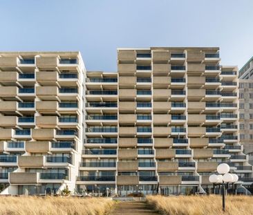 Duinroos 15 - Foto 5